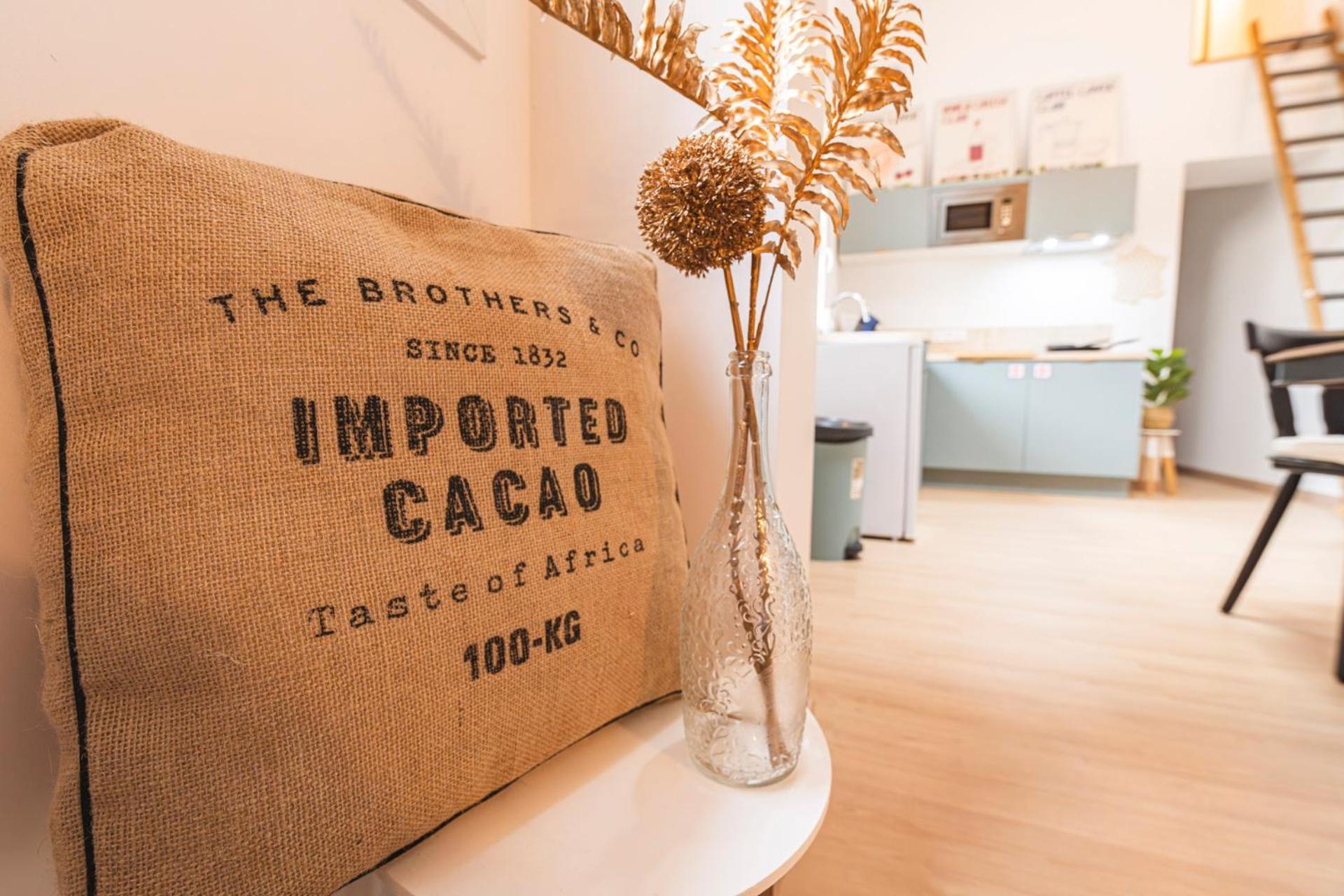Loft Type Industriel Apartment